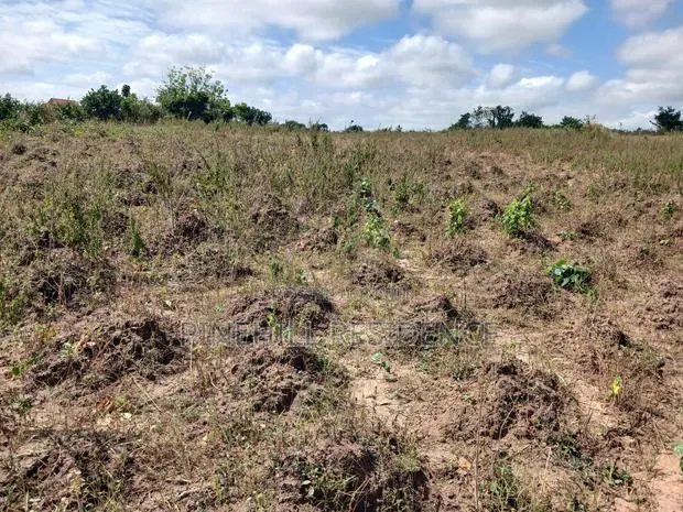 1 Plot of Land for Sale(Buduatta) · Photo 1