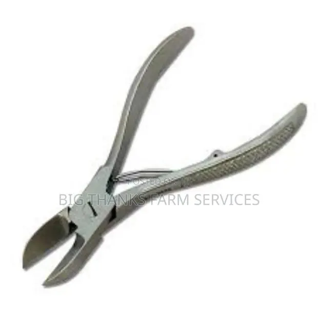 Pig Teeth Cutter · Photo 1