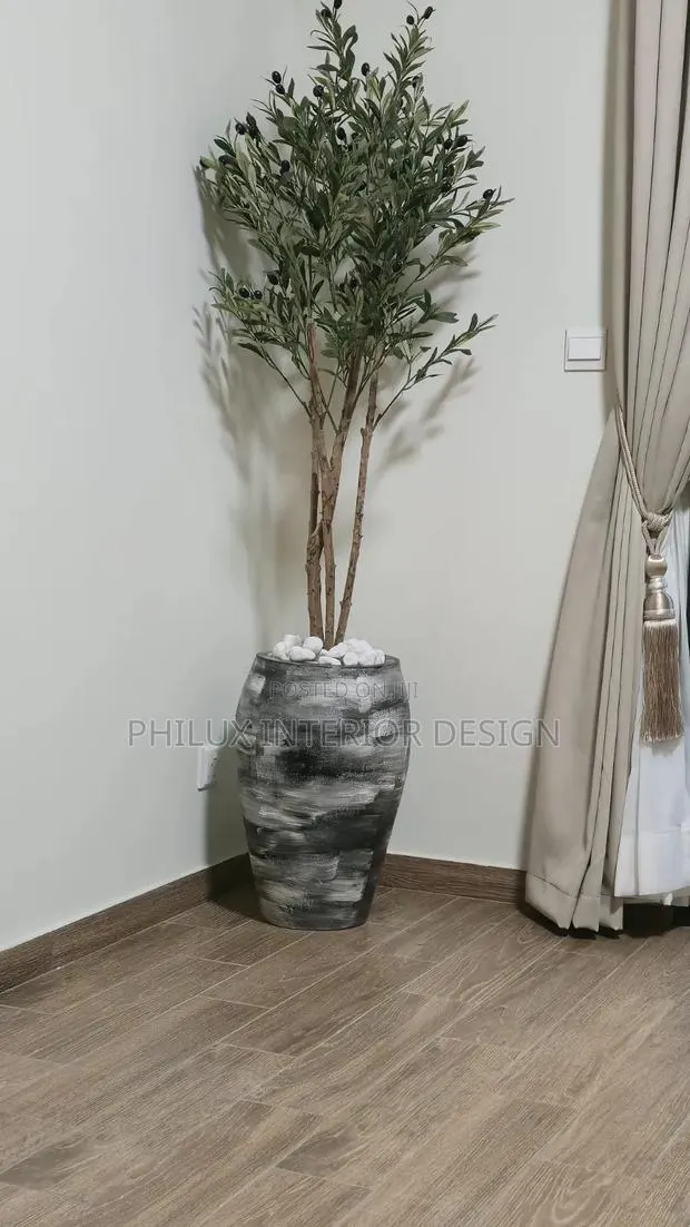 Plant Pots