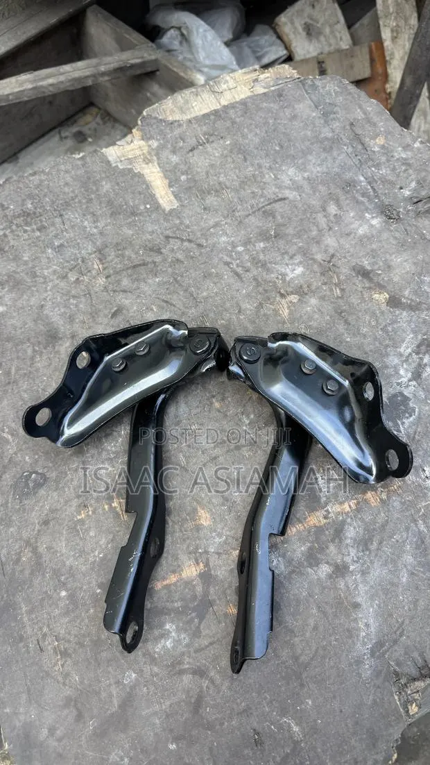 Land Cruiser 2007,2008,2009,2010,2011,2012,2013,2014,2015 Bonnet Hinge · Photo 1