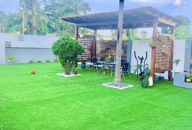 Astro-Turf Carpet · Photo 1