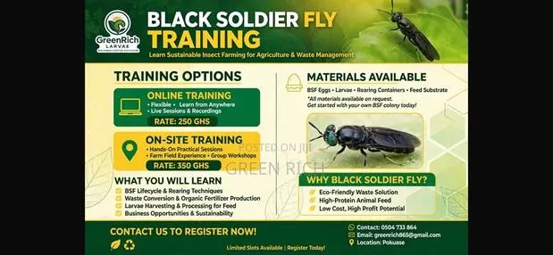 Black Soldier Fly Onsite Training(Hermetia Illucens ) · Photo 1