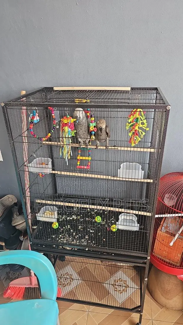 XXXL Parrot Cage · Photo 1