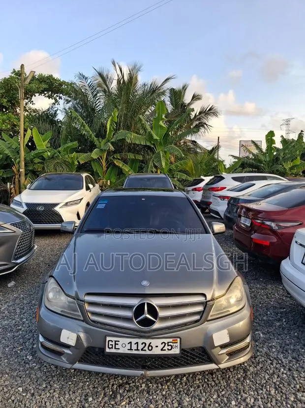 Mercedes-Benz C250 2014 Gray · Photo 1