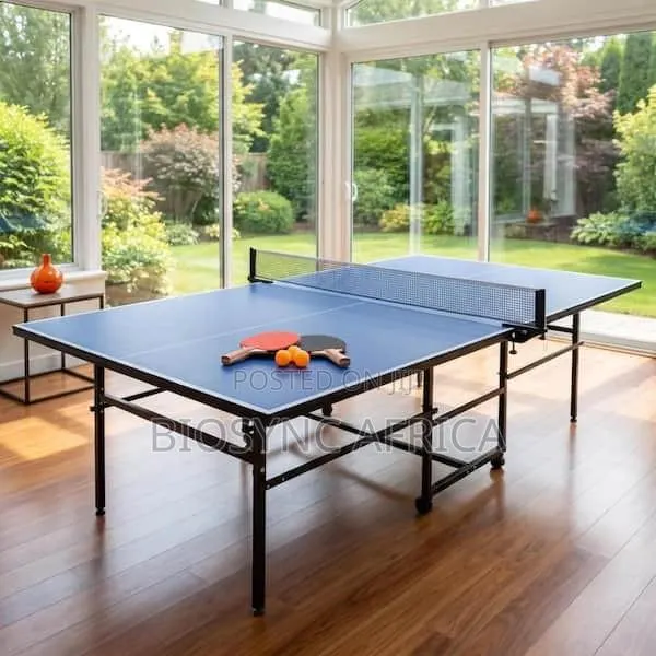 Table Tennis · Photo 1