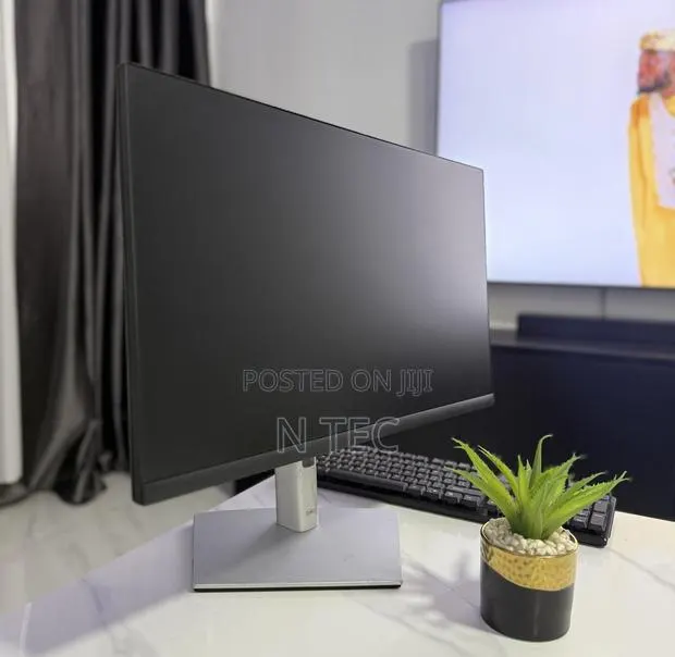 Dell 24 Inches Edgeless Monitor · Photo 2