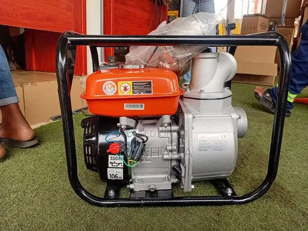 Powerful LEO 3 6.5HP Water Pump – Ideal for Farming & Irrigation6.5hp · Photo 1