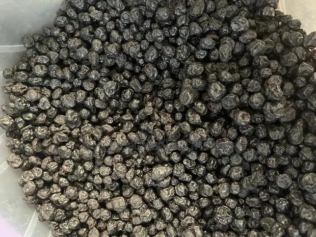 Dried Blueberry Fruits · Photo 1