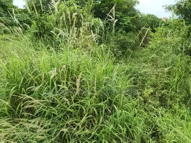 25 Acres Farm Land for Sale at Aputuogya Bekwai Road. · Photo 1