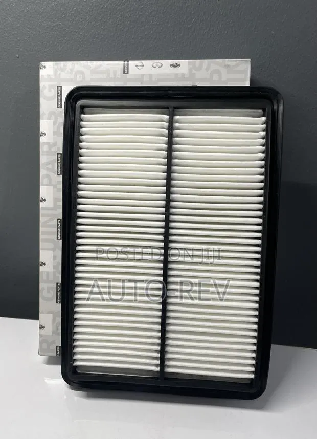 Nissan Rogue/Qashqai Air Filter || 16546 · Photo 1