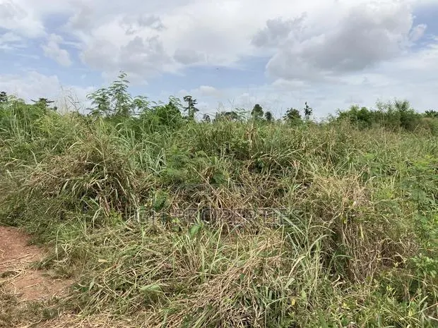 100 Plots for Sale at Atonsu ,Serwia Atonbiase. · Photo 1