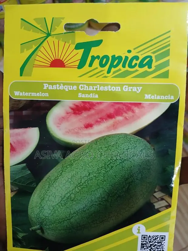 Watermelon Charleston Gray Seeds · Photo 1
