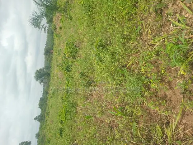 Farm Land for Sale · Photo 1