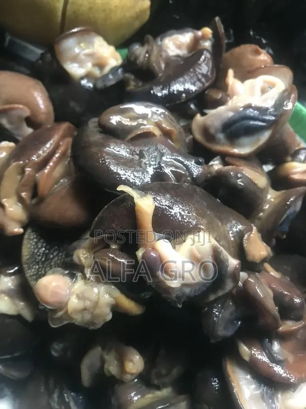 Snail Meat · Photo 1