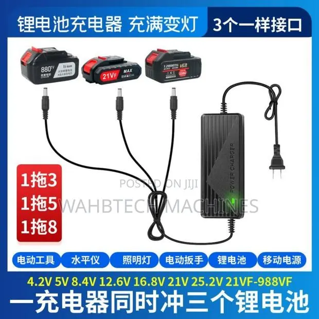 3in1 Lithium Battery Charger for Car Wash and Drill Mac · Photo 1