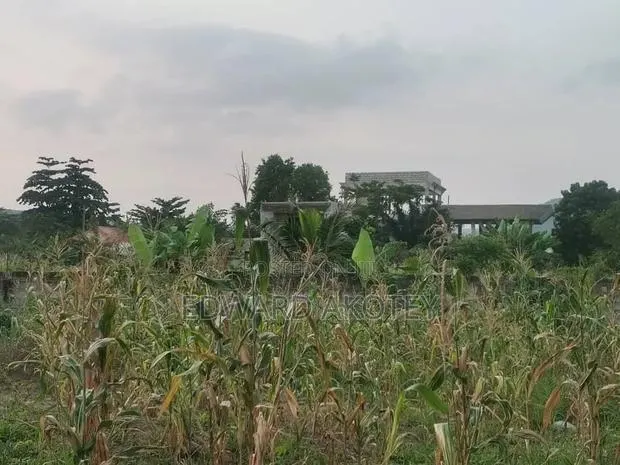 Over Ten(10) Building Plots for Sale at Green Valley · Photo 1
