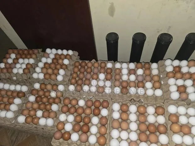 Fresh Eggs · Photo 1