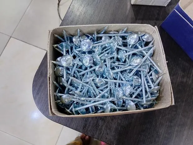 Roofing Nails · Photo 1