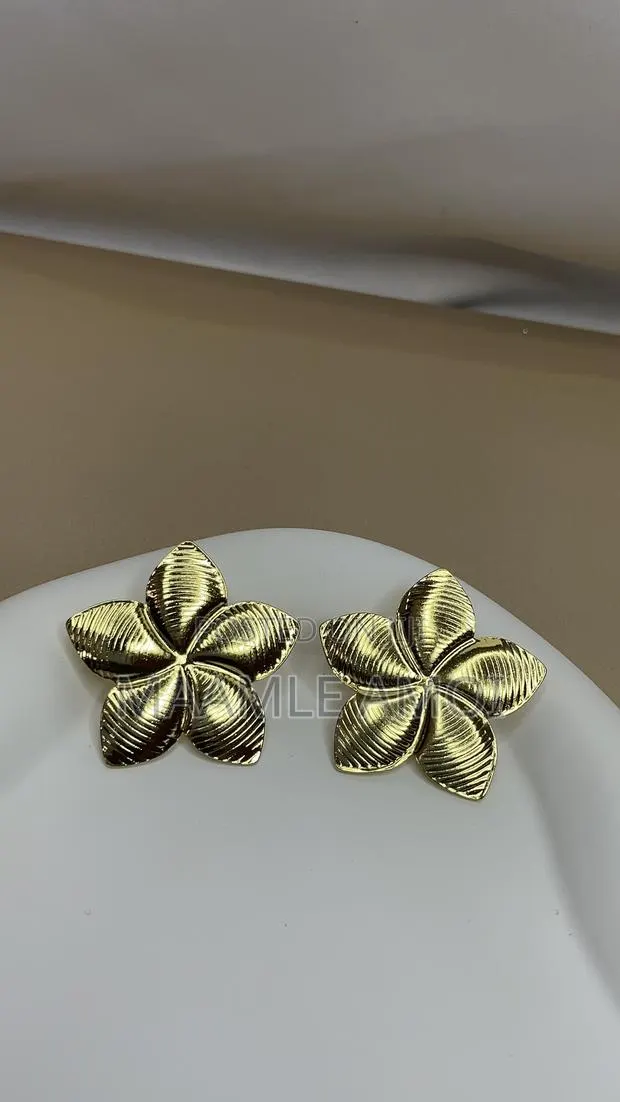 Star Golden Non Tarnish Earrings · Photo 1