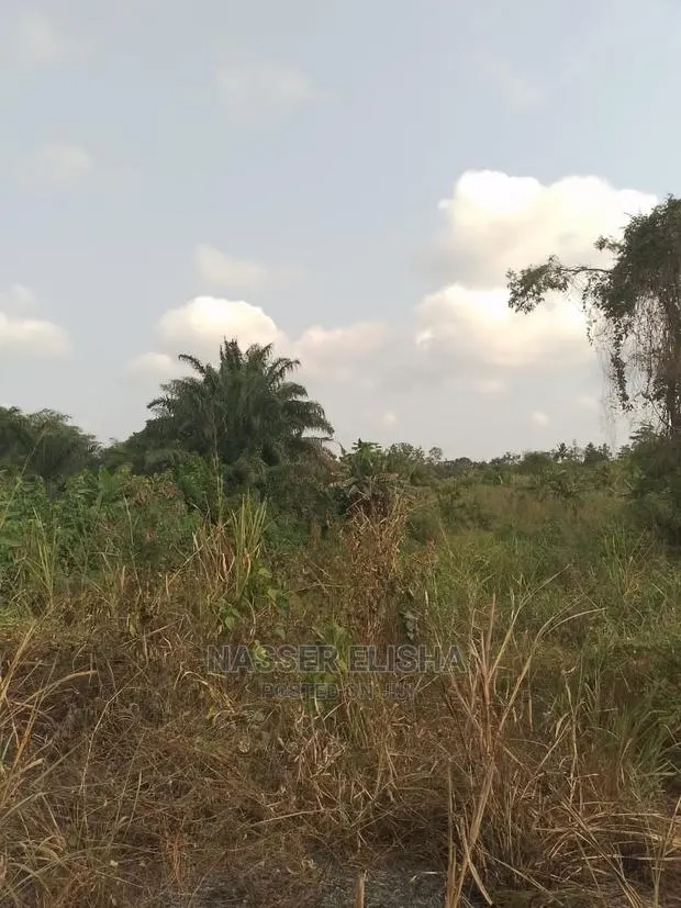Farmlands for Sale at Anum Apampram, Asamankese · Photo 1