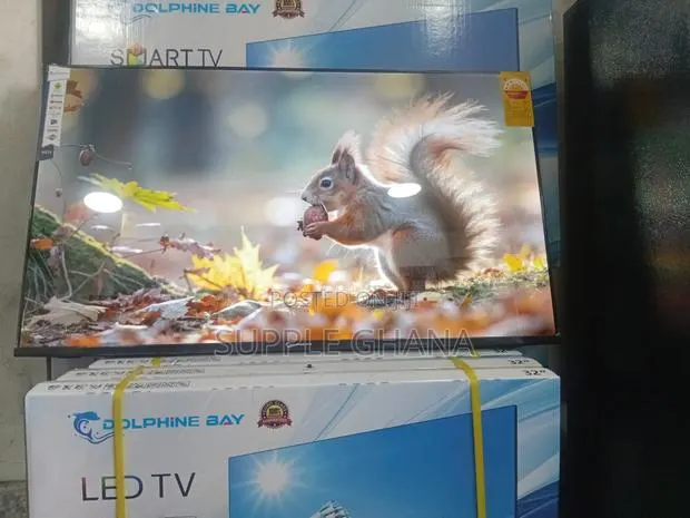 Radiantview Dolphine Bay 43-Inch Smart Tv, Dolphine Bay Smart Tv · Photo 1