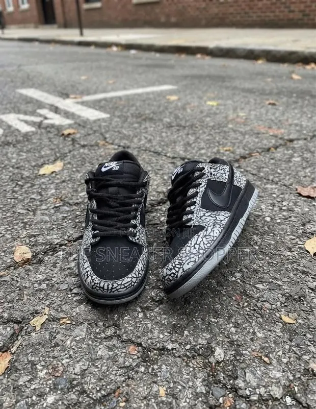 Nike Sb Ash and Black Sneaker · Photo 1
