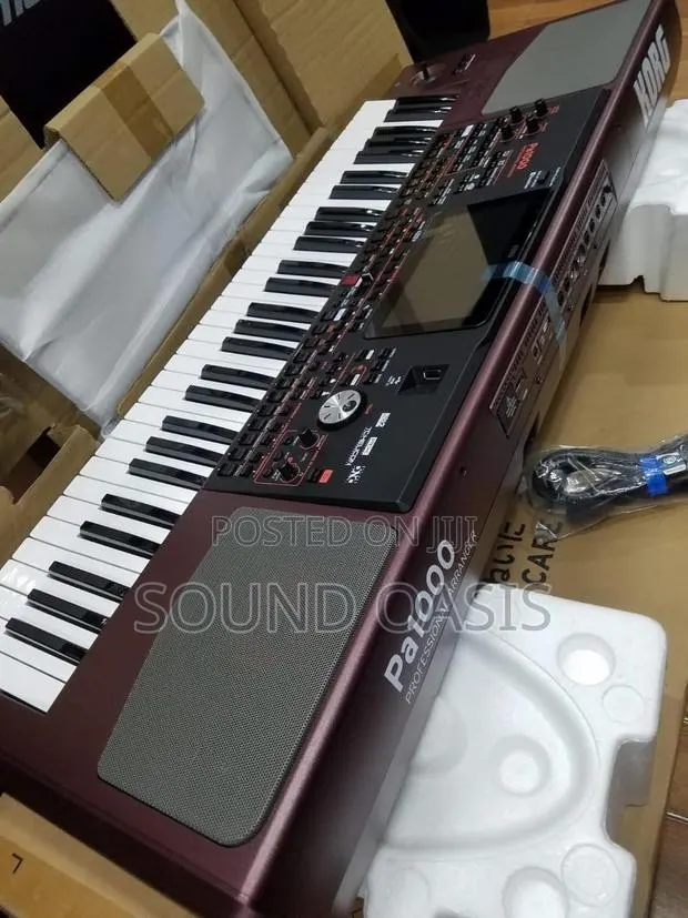 Korg Pa1000 61-Key Professional Arranger · Photo 1