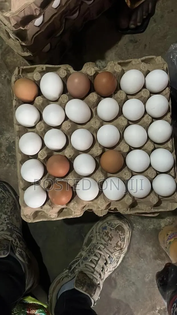 Chicken Eggs · Photo 1