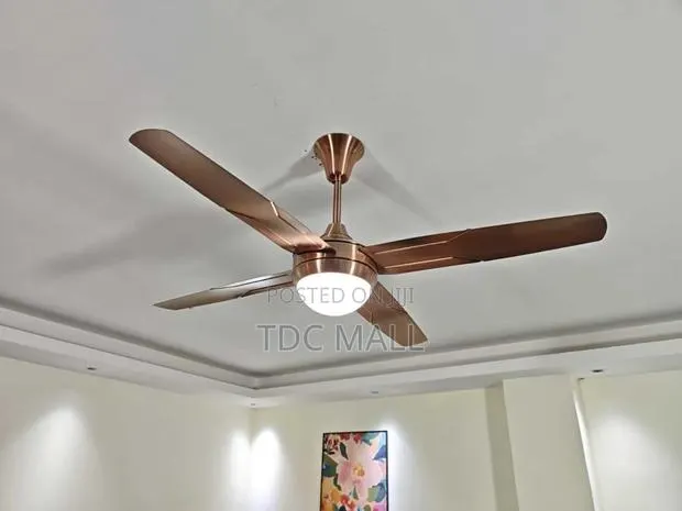 Modern Ceiling Fanlight With Remote - 4 Blades · Photo 1