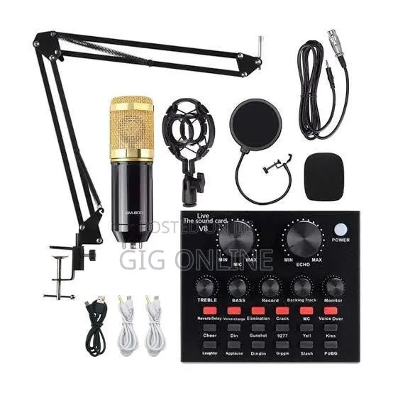 Professional Recording Condenser Microphone · Photo 1