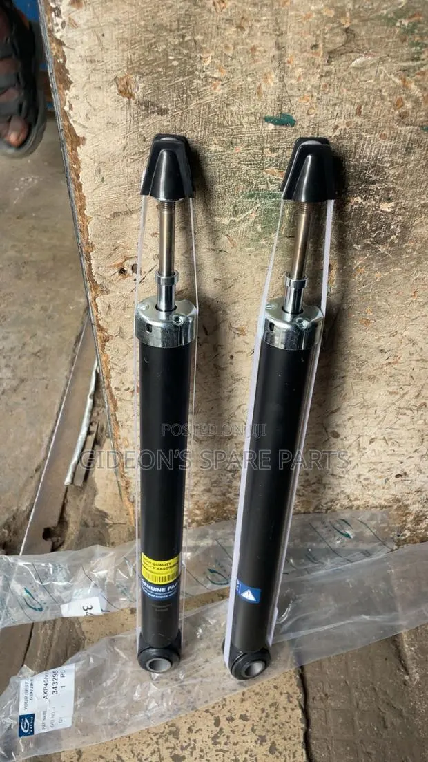 Toyota Echo Back Shocks Absorbers · Photo 1