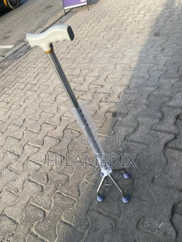 Walking Stick Quad Cane · Photo 1