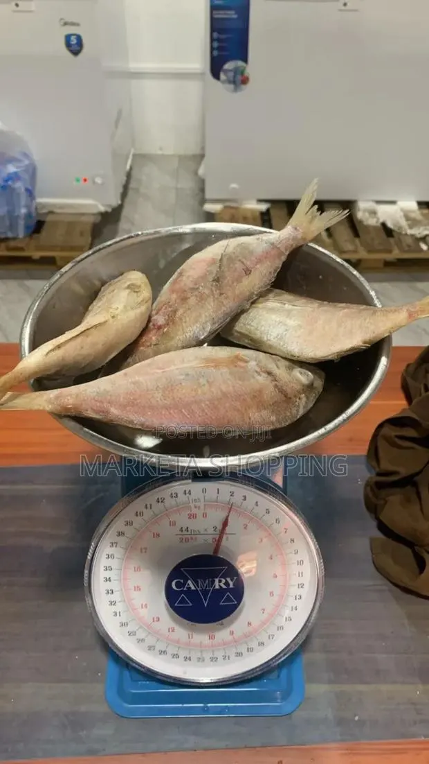 Red Fish Medium 1kg · Photo 1