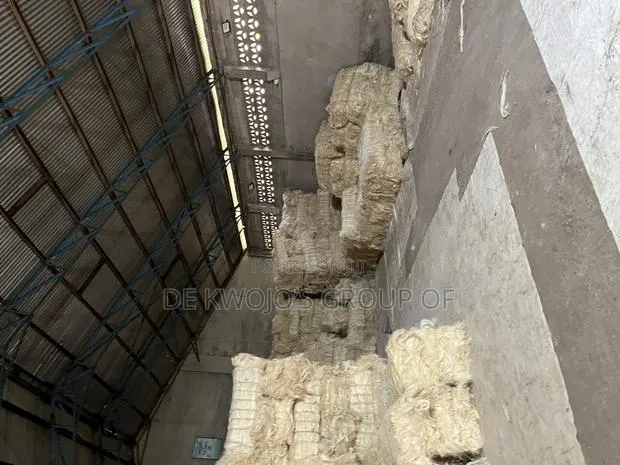 Pop Fiber or Sponge · Photo 1