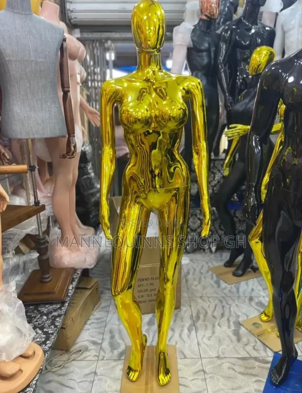 Gold And Silver Female Mannequin · Photo 1