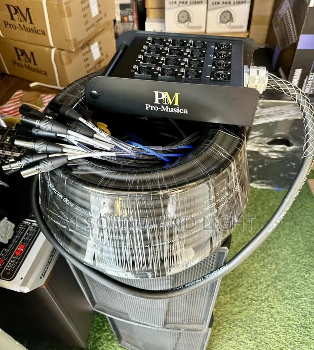 Pro — Musica 12 Channel Audiolink · Photo 1