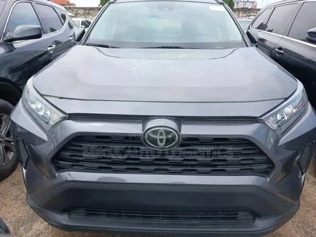 Toyota RAV4 LE AWD 2019 Gray · Photo 1
