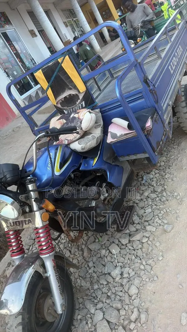 Tricycle 2025 Blue · Photo 1
