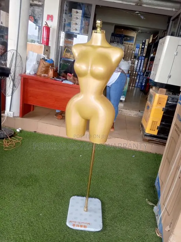 Women's Apparel Display Mannequin Torso · Photo 1