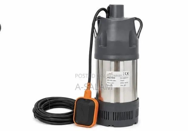 LEO Stainless 1.5hp Submersible Pump · Photo 1