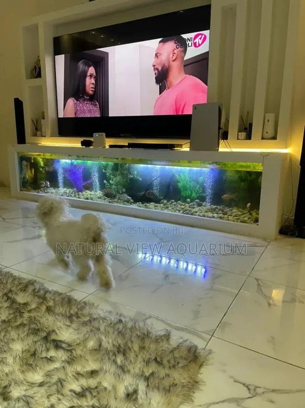 Aquarium Fish Tanks · Photo 1