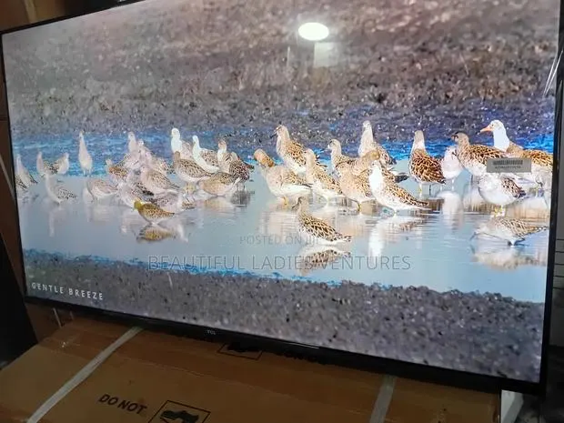 TCL 43” Smart Tv – Upgrade Your Viewing Experience · Photo 1