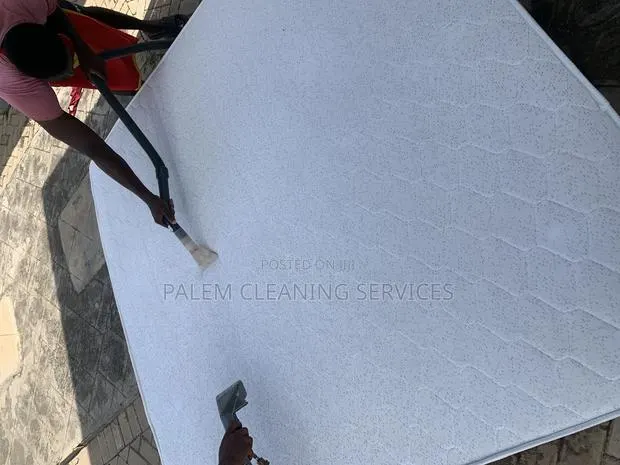 Mattress Cleaning · Photo 1