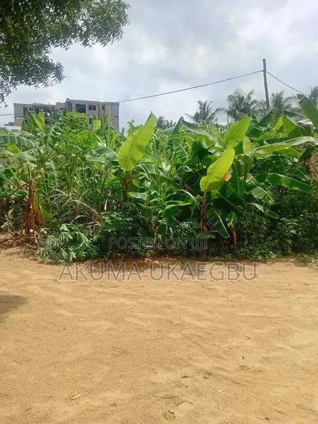 Half Plot of Land for Sale · Photo 1