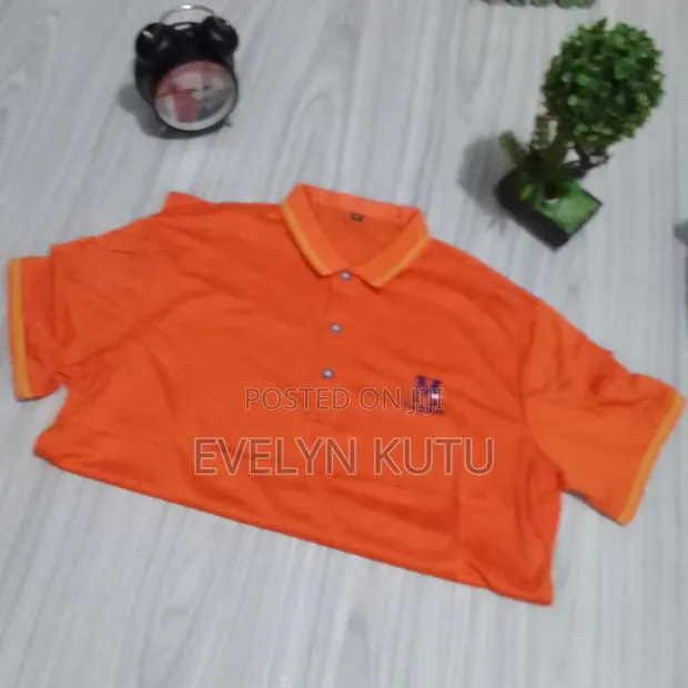 Polo Shirts · Photo 1