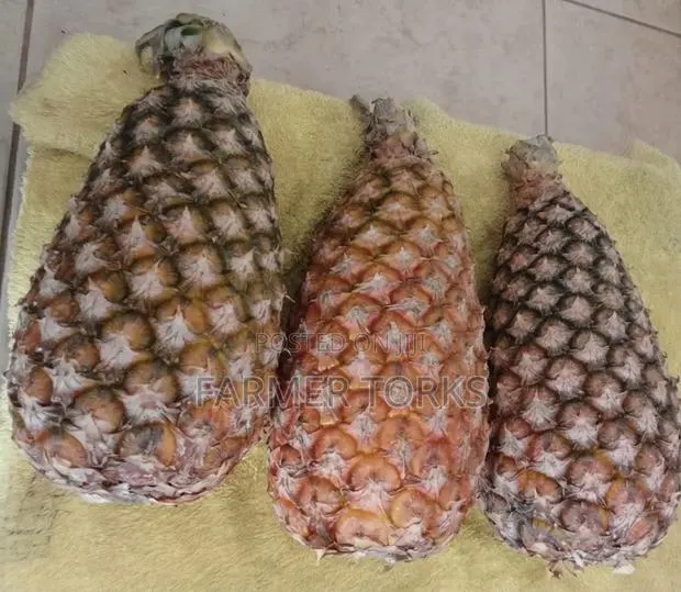 Pineapple Friut · Photo 1