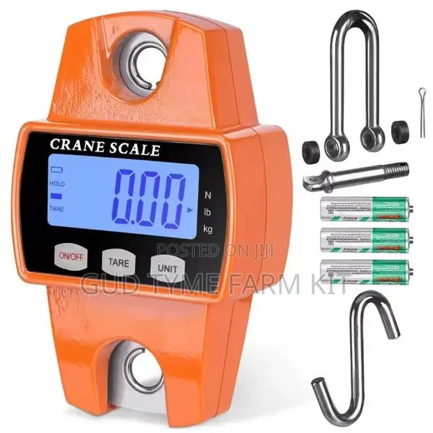 Veidt Ocs-l Portable Crane Scale 300kg · Photo 1