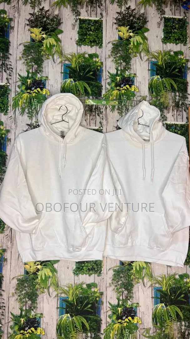 Gildan Plain Hoodies From America · Photo 1