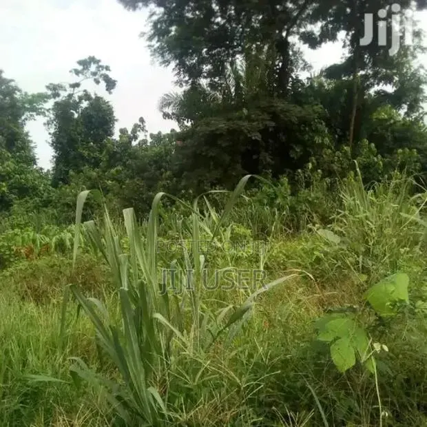 Farm Land for Long Lease · Photo 3