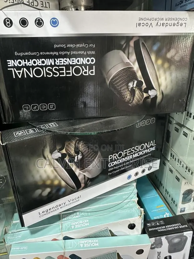 Professional Condenser Microphone · Photo 1
